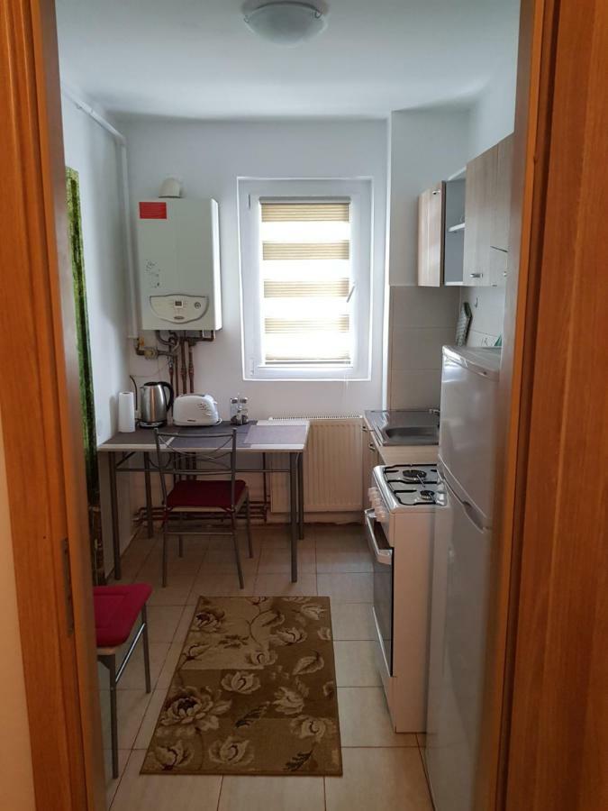 Petuniei Apartment Braşov Exterior foto