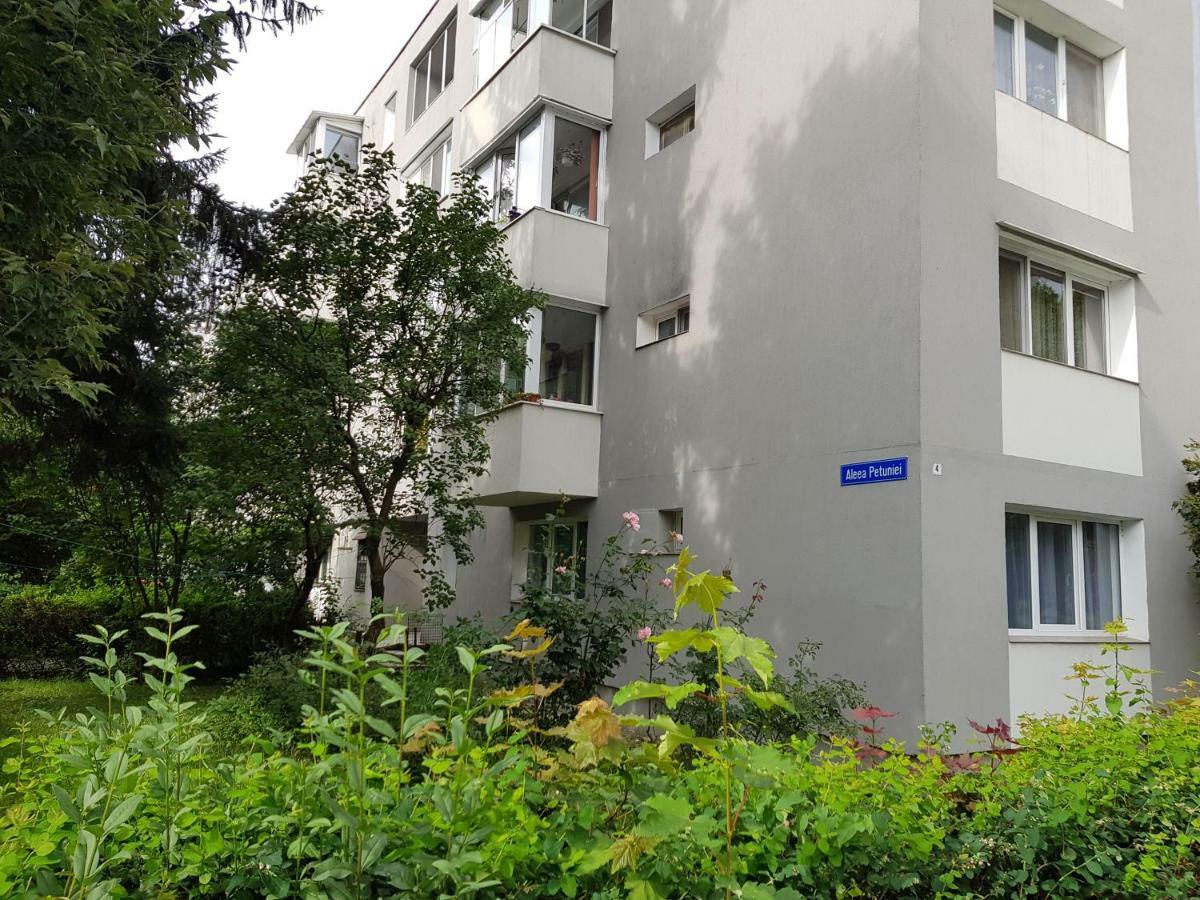Petuniei Apartment Braşov Exterior foto
